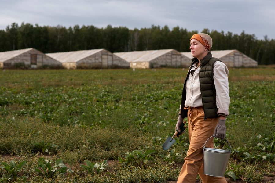 A farmer checking a delayed paper check